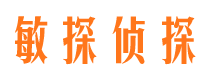 阜新捉小三公司